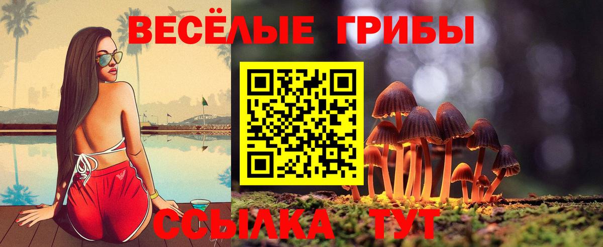 Таганрог  Псилоцибиновые грибы мицелий  Вход с VPN  Псилоцибиновые грибы мухоморы 